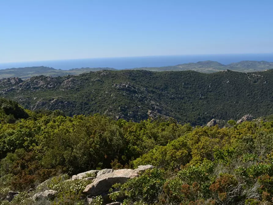 Immagine 27 di Casa colonica in vendita  a Aglientu