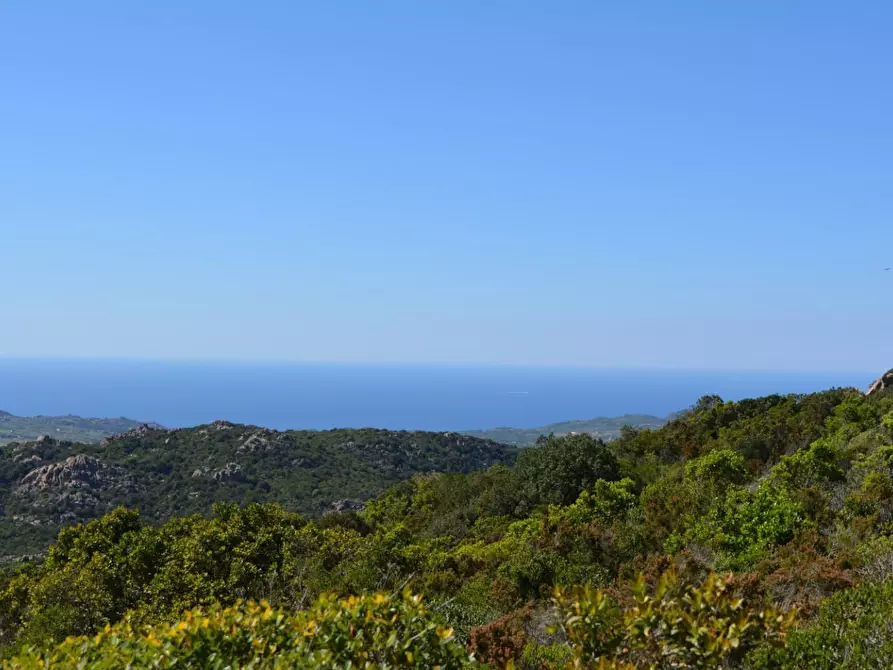 Immagine 9 di Casa colonica in vendita  a Aglientu