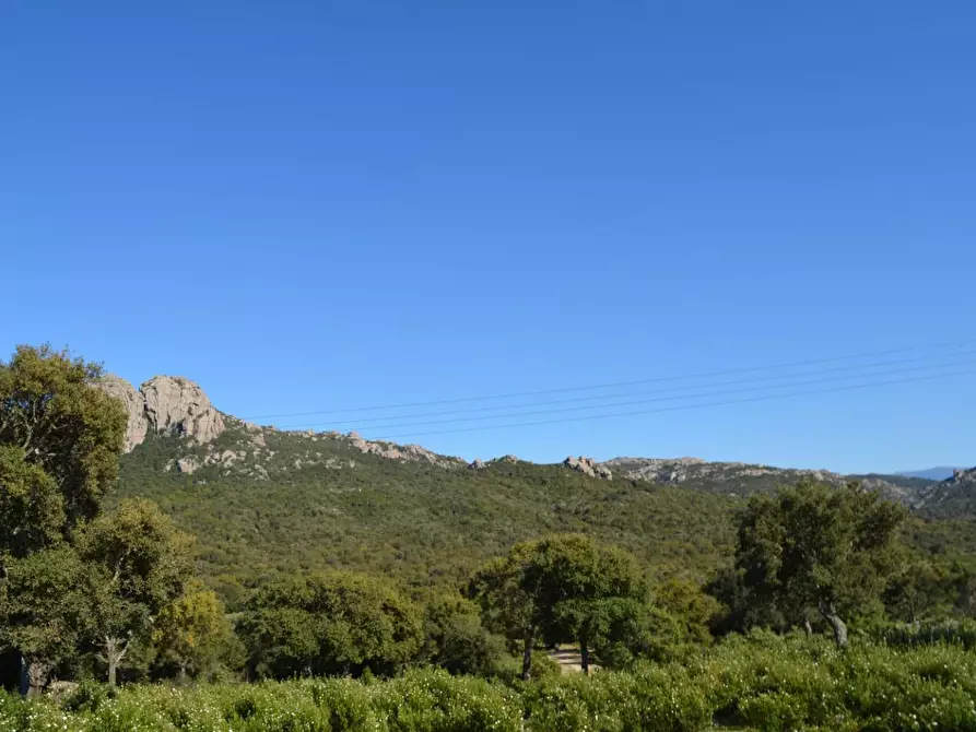 Immagine 76 di Casa colonica in vendita  a Aglientu