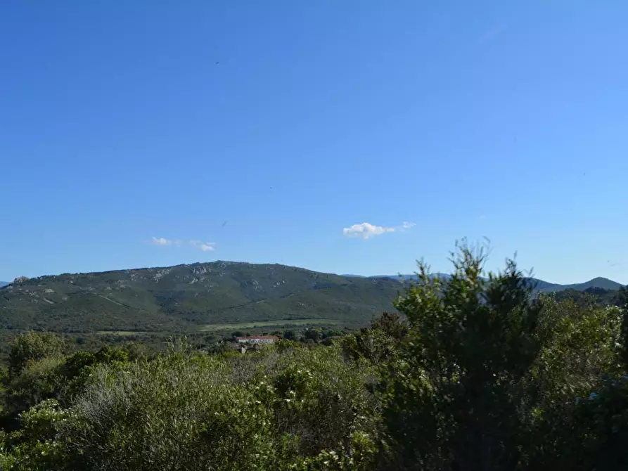 Immagine 68 di Casa colonica in vendita  a Aglientu