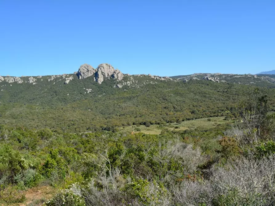 Immagine 72 di Casa colonica in vendita  a Aglientu