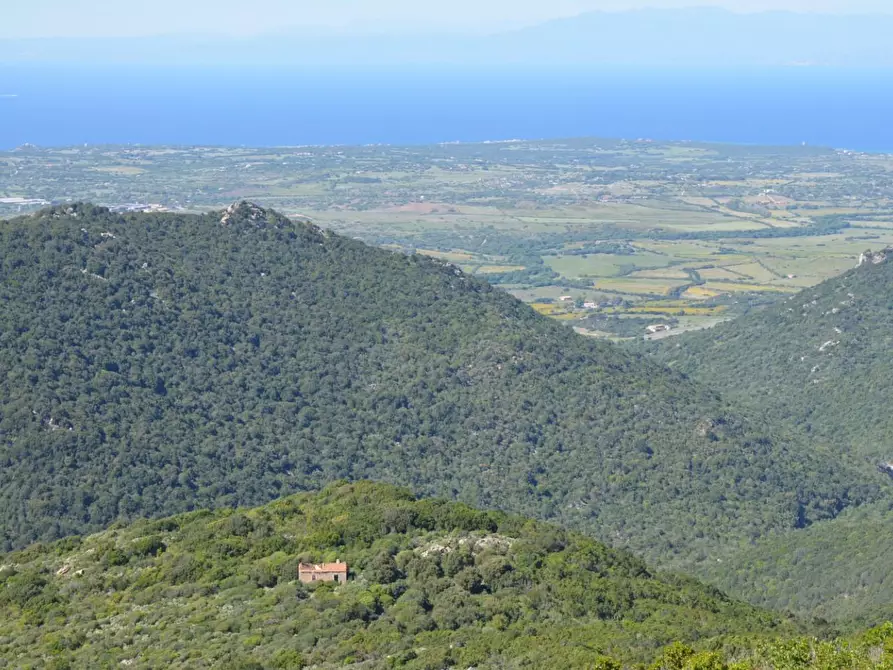 Immagine 34 di Casa colonica in vendita  a Aglientu