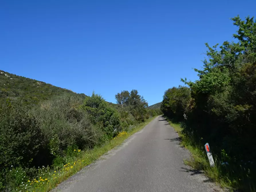 Immagine 84 di Casa colonica in vendita  a Aglientu