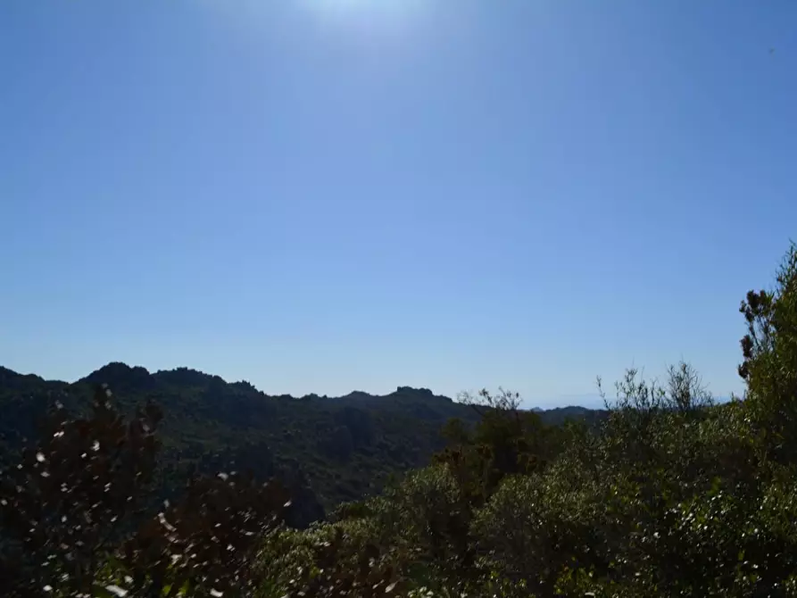 Immagine 63 di Casa colonica in vendita  a Aglientu