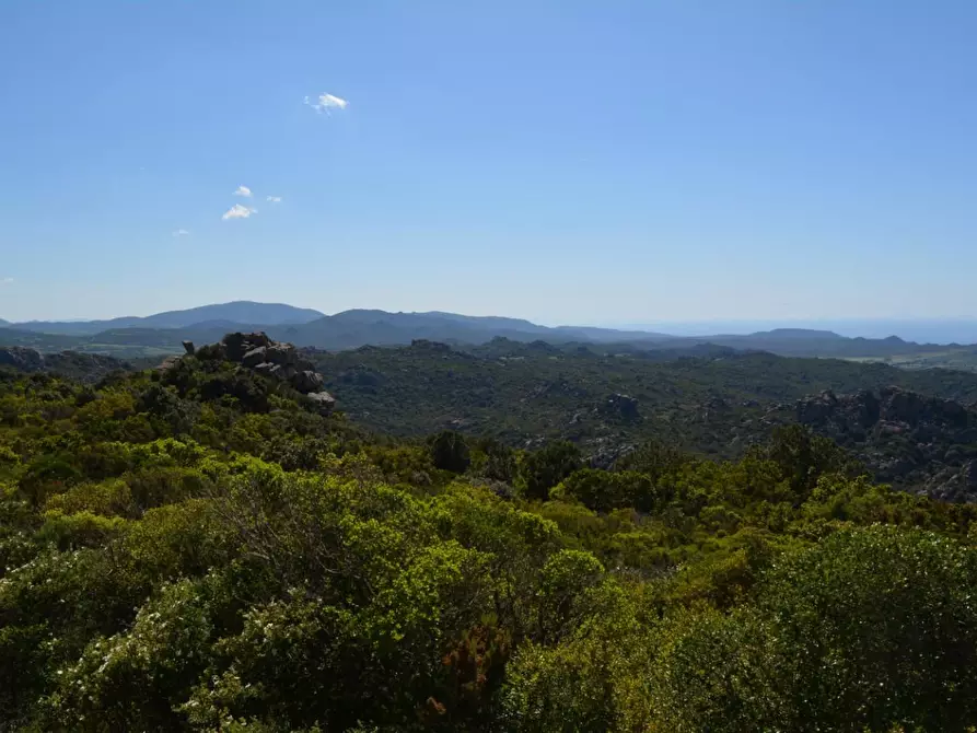 Immagine 5 di Casa colonica in vendita  a Aglientu