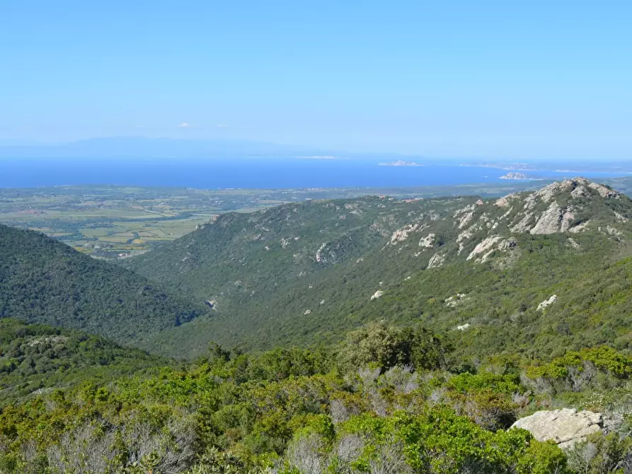 Immagine 40 di Casa colonica in vendita  a Aglientu