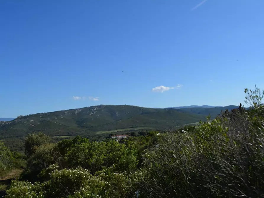 Immagine 69 di Casa colonica in vendita  a Aglientu