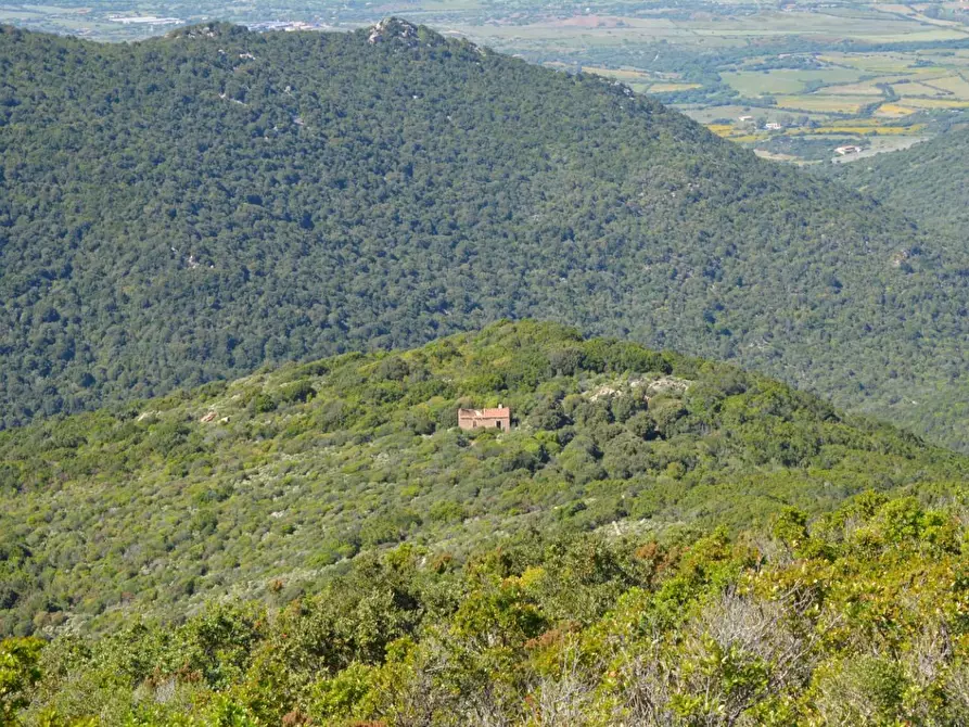 Immagine 35 di Casa colonica in vendita  a Aglientu