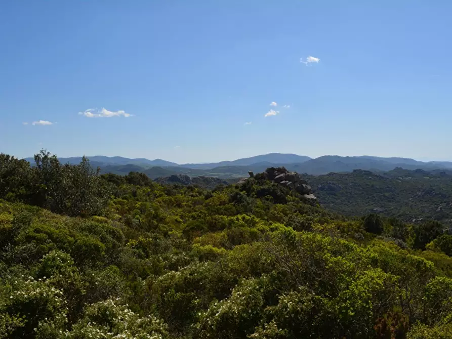 Immagine 4 di Casa colonica in vendita  a Aglientu