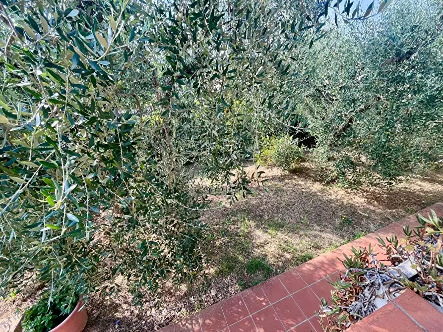 Immagine 6 di Casa indipendente in vendita  a Montopoli In Val D'arno