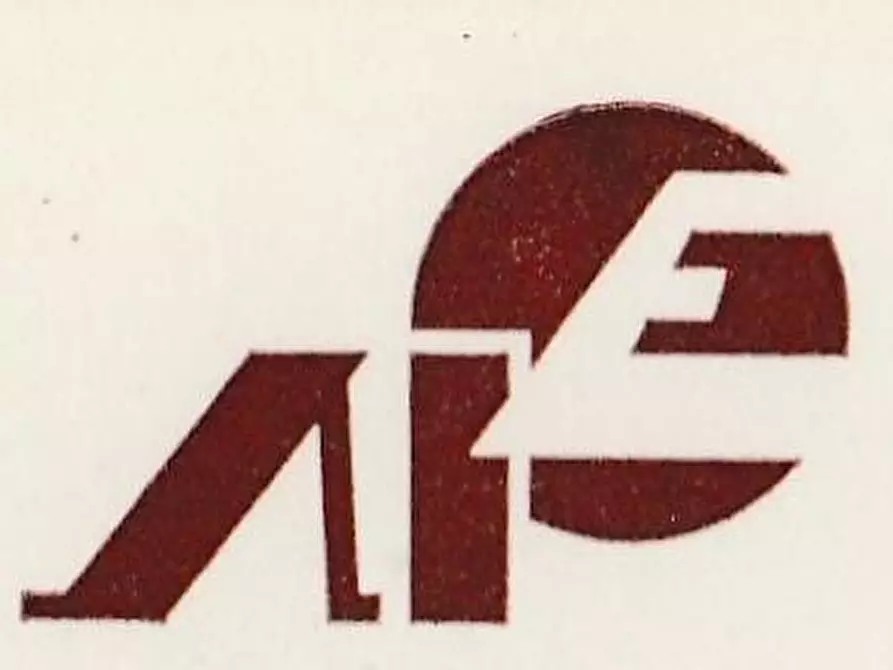 Immagine 4 di Appartamento in vendita  a Pietrasanta