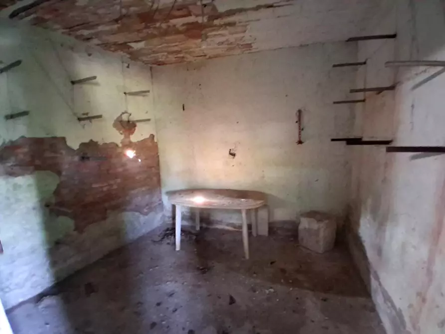 Immagine 5 di Deposito in vendita  a Capannori