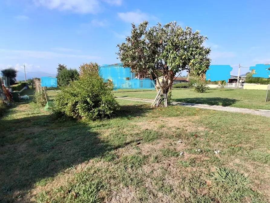 Immagine 4 di Deposito in vendita  a Capannori