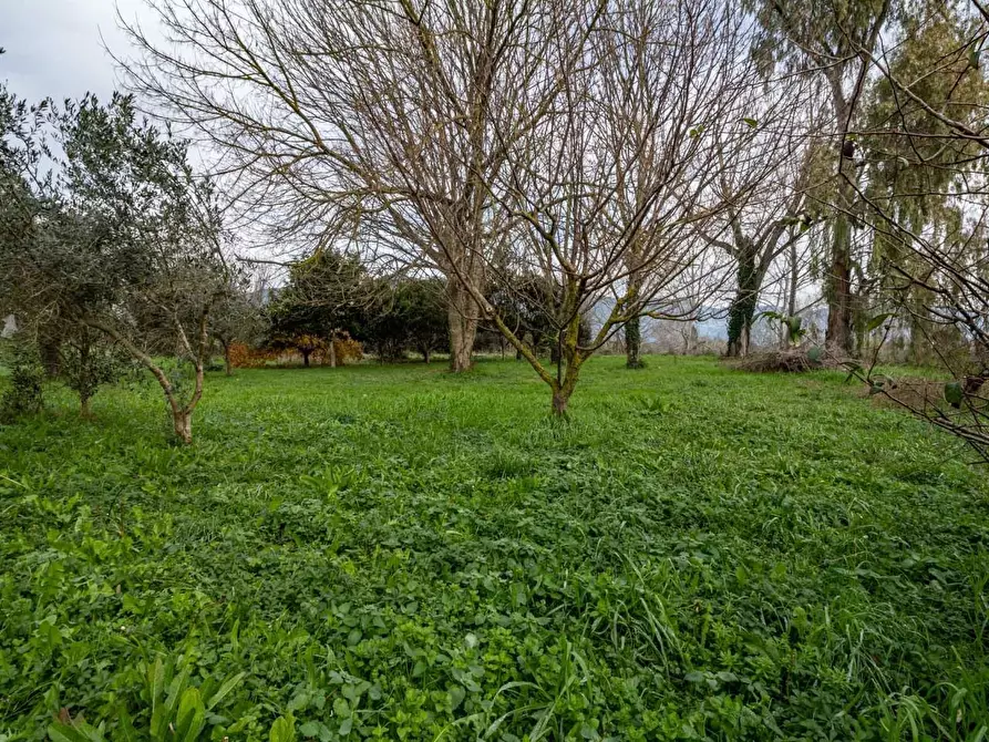 Immagine 45 di Villetta a schiera in vendita  a San Giuliano Terme