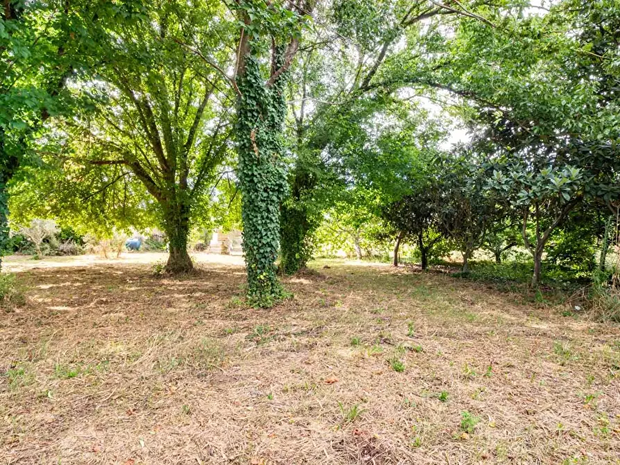 Immagine 40 di Villetta a schiera in vendita  a San Giuliano Terme