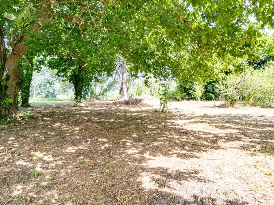 Immagine 36 di Villetta a schiera in vendita  a San Giuliano Terme