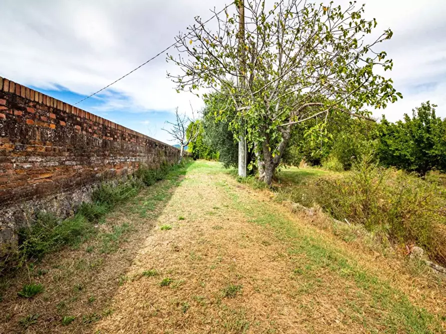 Immagine 48 di Villetta a schiera in vendita  a San Giuliano Terme