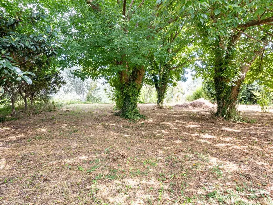 Immagine 38 di Villetta a schiera in vendita  a San Giuliano Terme