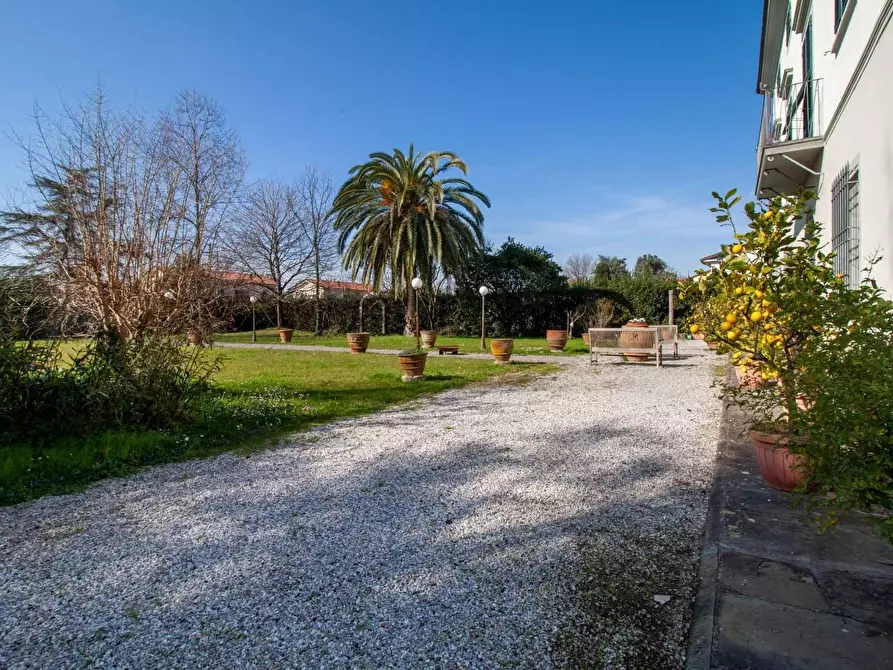 Immagine 39 di Villa in vendita  a San Giuliano Terme