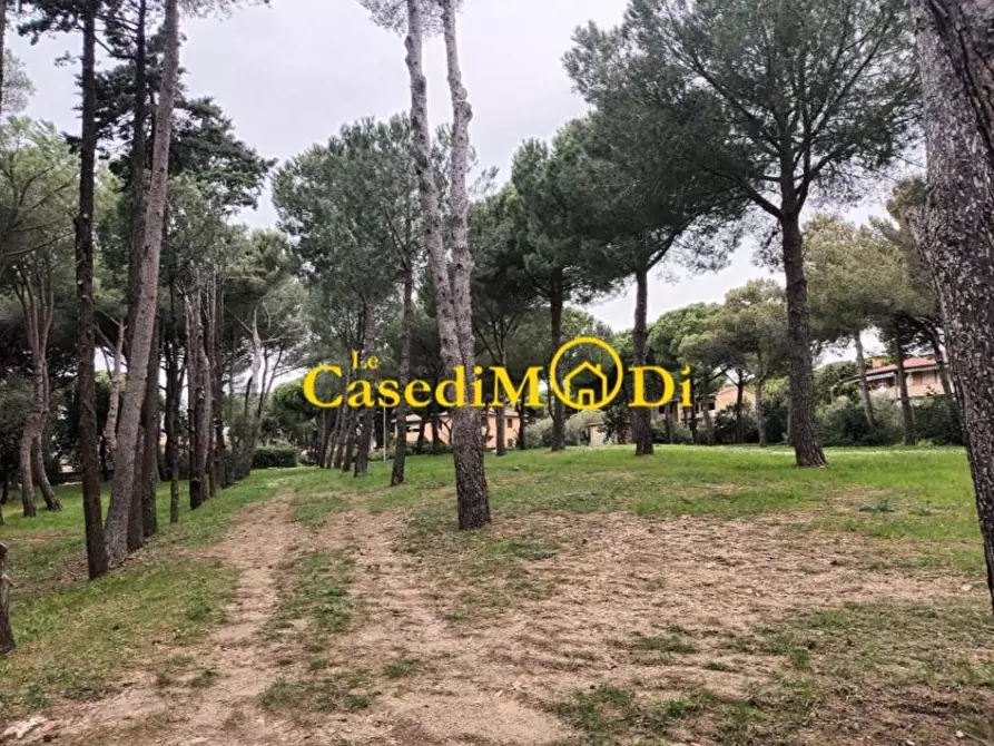 Immagine 10 di Appartamento in affitto  a Rosignano Marittimo