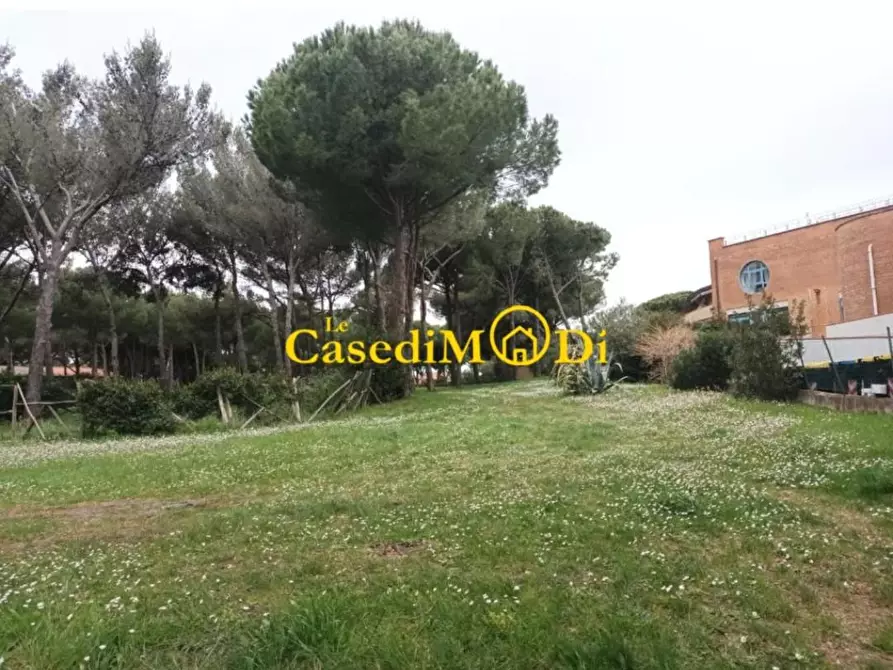 Immagine 9 di Appartamento in affitto  a Rosignano Marittimo