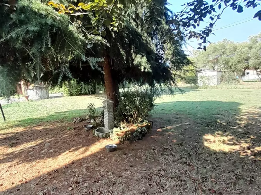 Immagine 38 di Casa indipendente in vendita  a Castelfranco Di Sotto