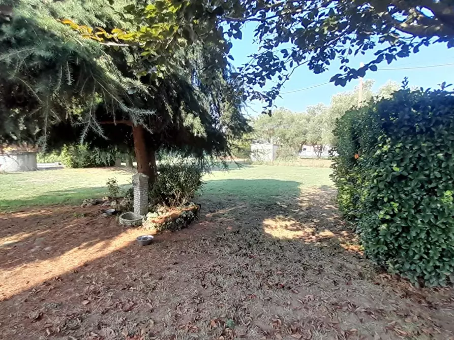 Immagine 85 di Casa indipendente in vendita  a Castelfranco Di Sotto