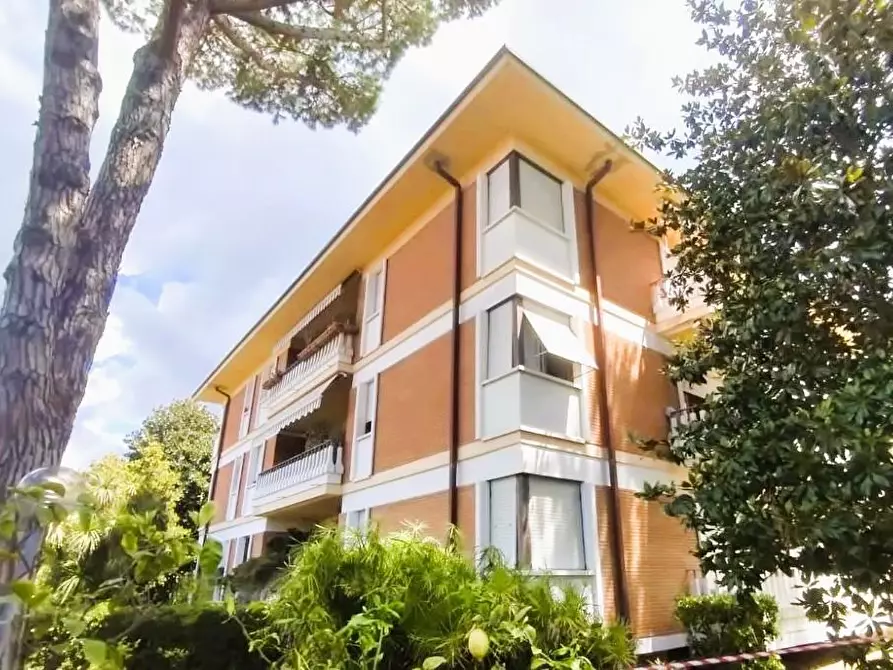 Immagine 24 di Appartamento in vendita  a Massa