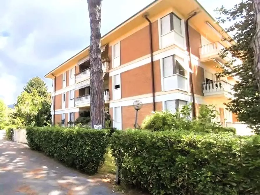 Immagine 23 di Appartamento in vendita  a Massa