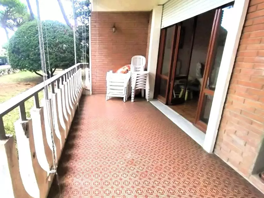 Immagine 5 di Appartamento in vendita  a Massa