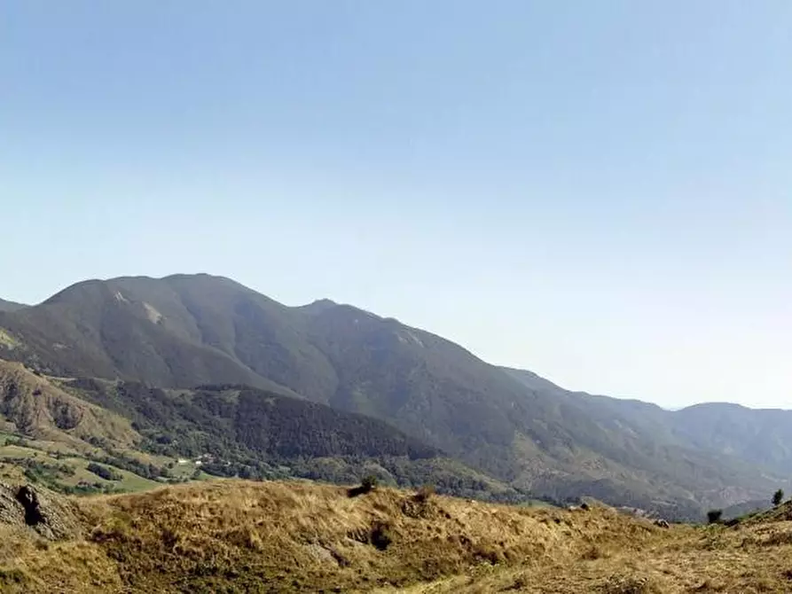 Immagine 1 di Appartamento in vendita  a Carro