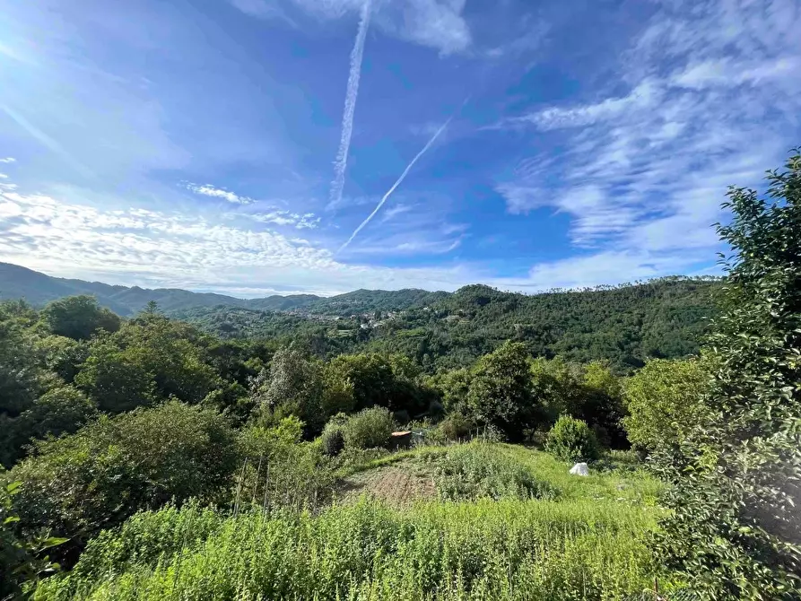 Immagine 23 di Appartamento in vendita  a Carro