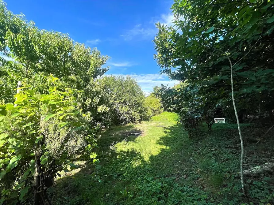 Immagine 37 di Appartamento in vendita  a Carro