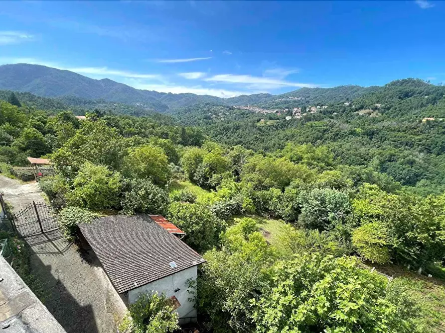 Immagine 5 di Appartamento in vendita  a Carro