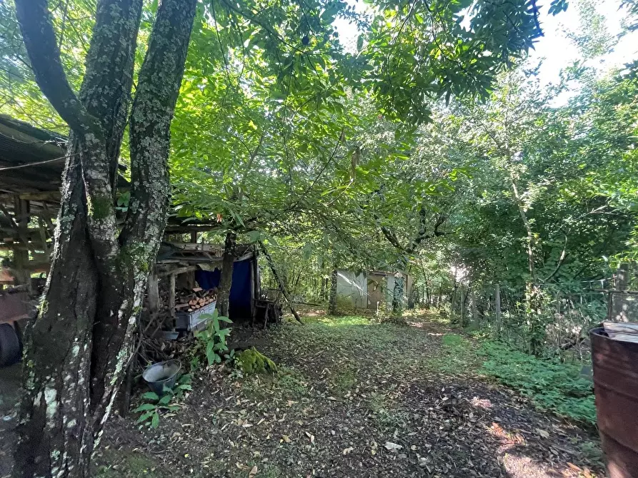 Immagine 39 di Appartamento in vendita  a Carro