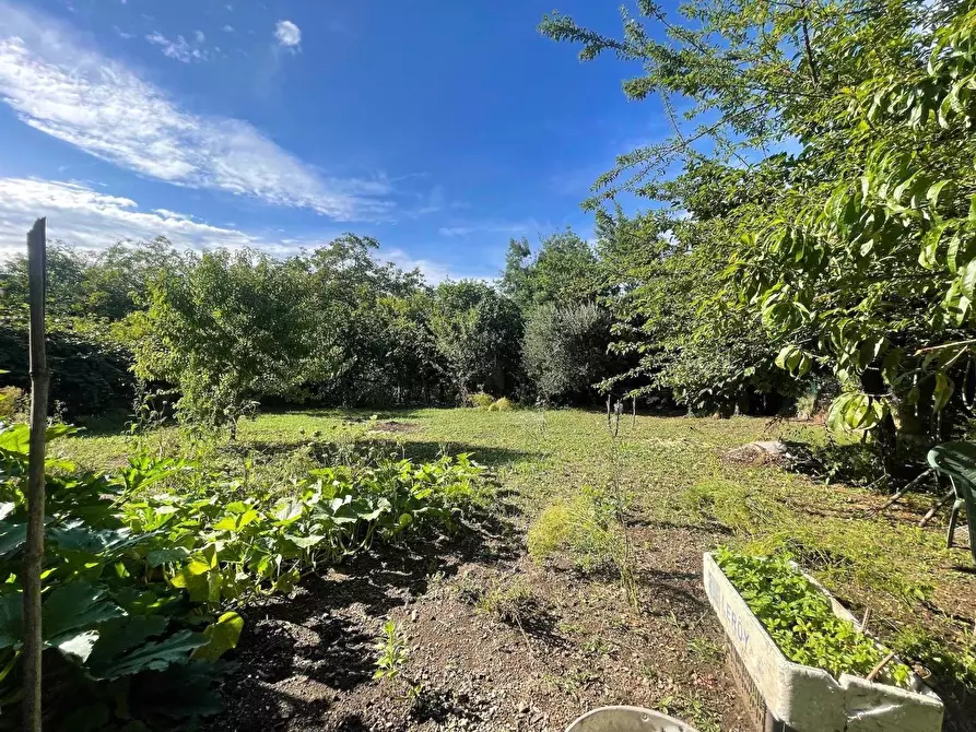 Immagine 33 di Appartamento in vendita  a Carro