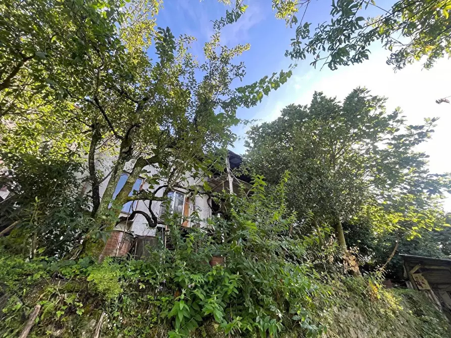 Immagine 31 di Appartamento in vendita  a Carro