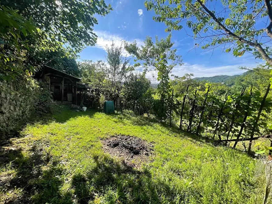 Immagine 35 di Appartamento in vendita  a Carro