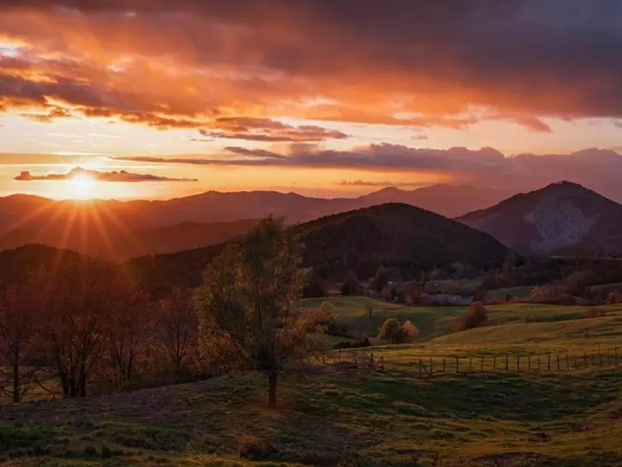 Immagine 3 di Appartamento in vendita  a Carro