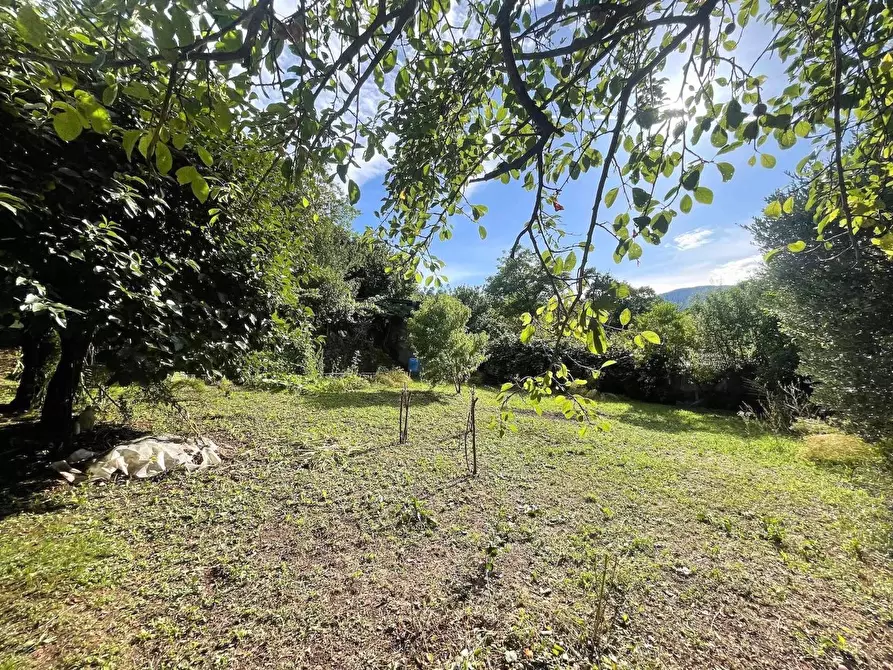 Immagine 38 di Appartamento in vendita  a Carro