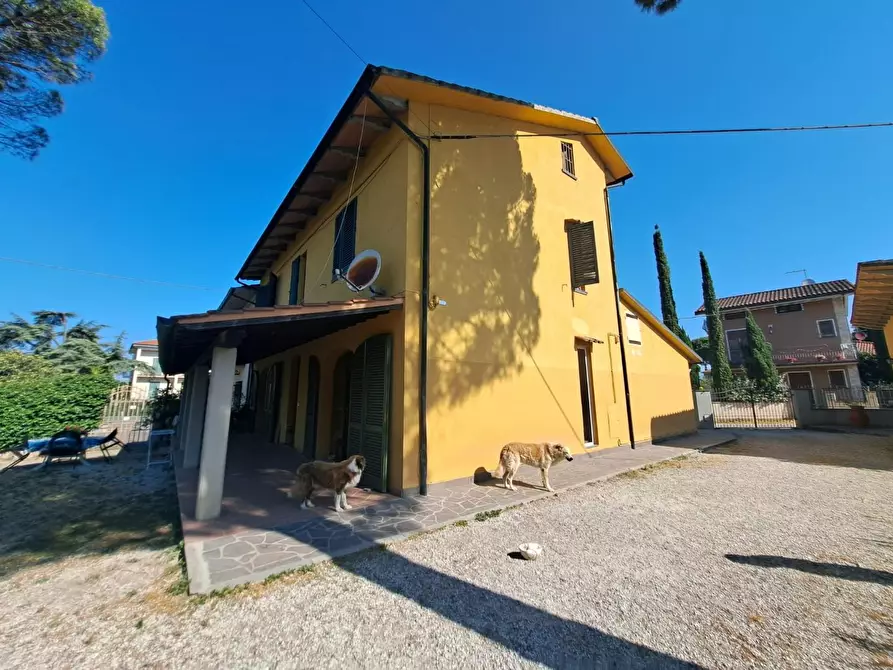 Immagine 6 di Casa bifamiliare in vendita  a Fucecchio