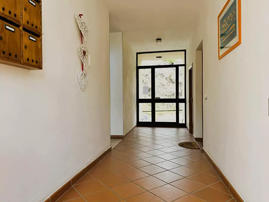 Immagine 34 di Appartamento in vendita  a Rosignano Marittimo