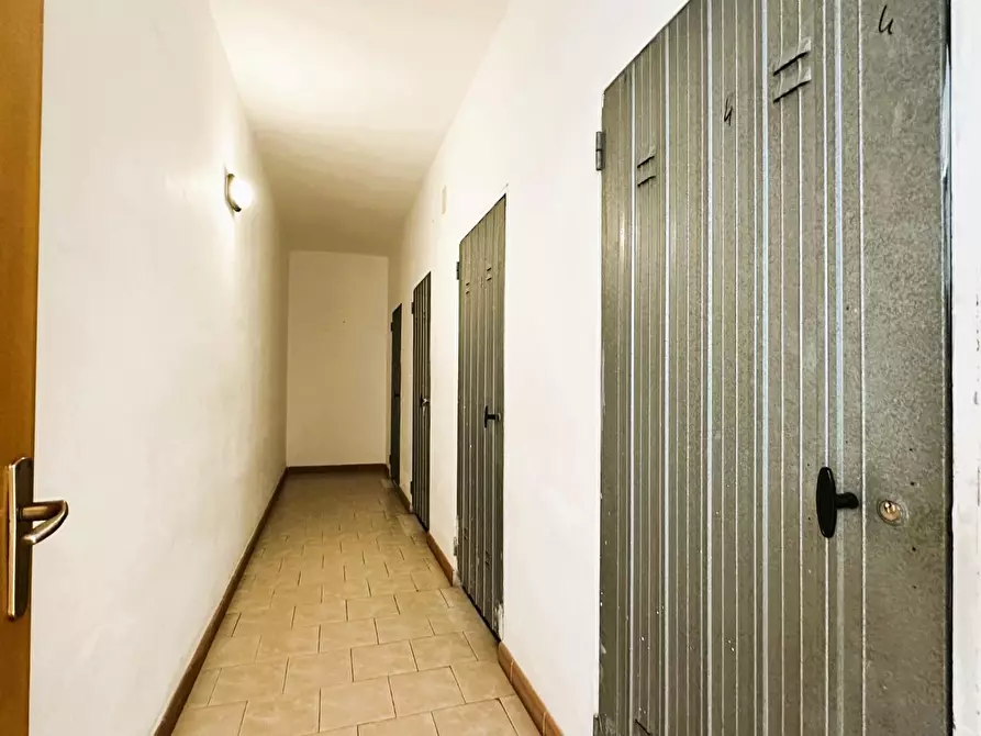 Immagine 35 di Appartamento in vendita  a Rosignano Marittimo