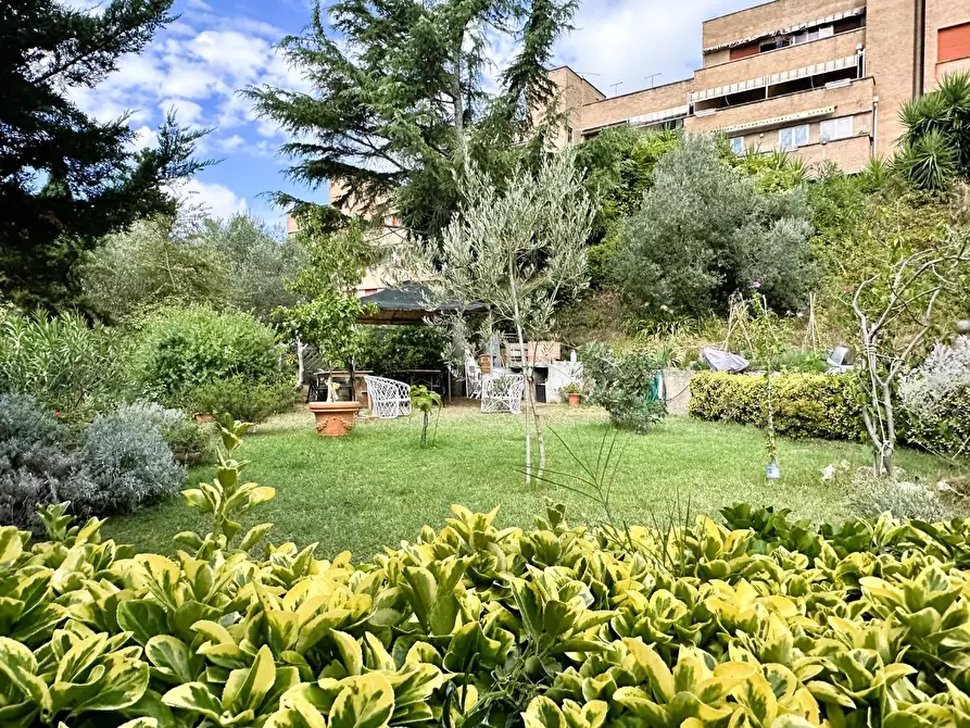 Immagine 38 di Appartamento in vendita  a Rosignano Marittimo