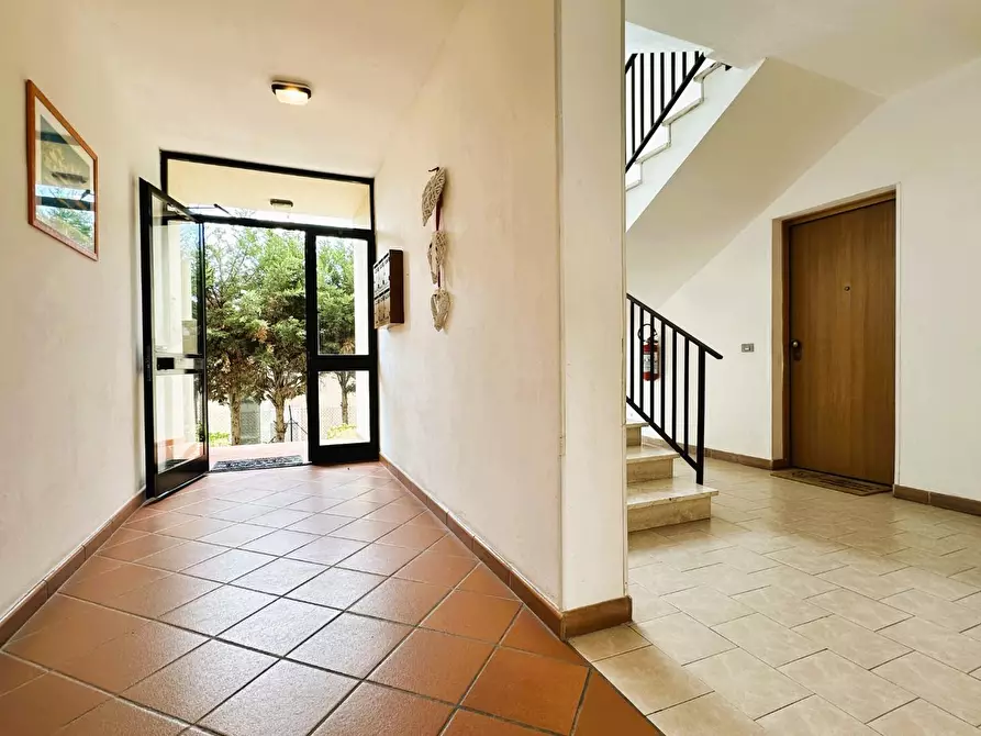 Immagine 36 di Appartamento in vendita  a Rosignano Marittimo