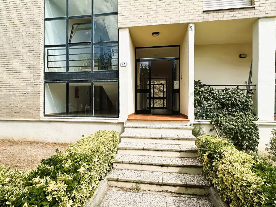 Immagine 37 di Appartamento in vendita  a Rosignano Marittimo