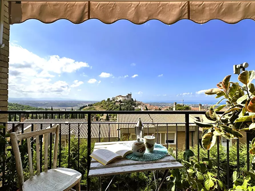 Immagine 3 di Appartamento in vendita  a Rosignano Marittimo