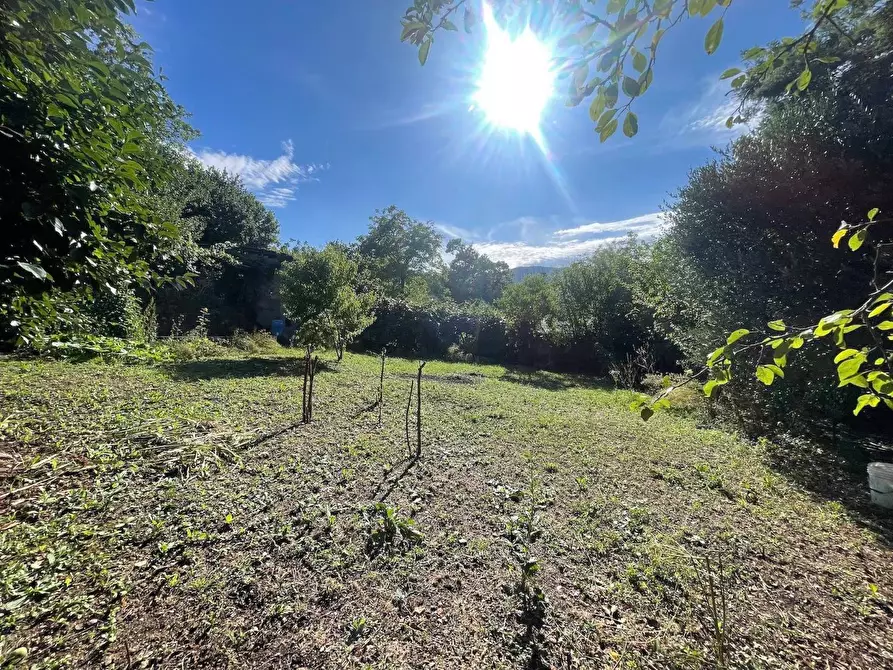 Immagine 33 di Appartamento in vendita  a Carro