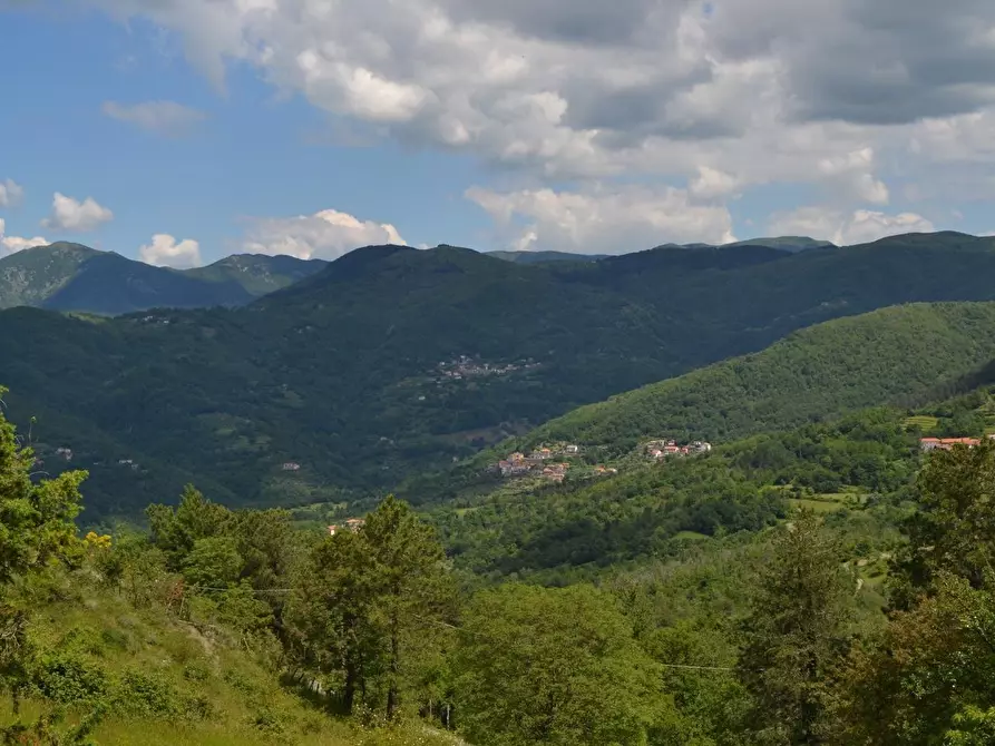 Immagine 1 di Appartamento in vendita  a Carro