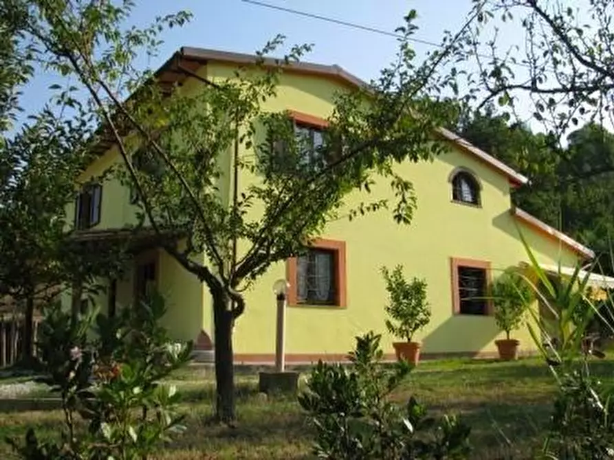 Immagine 22 di Casa colonica in vendita  a San Miniato